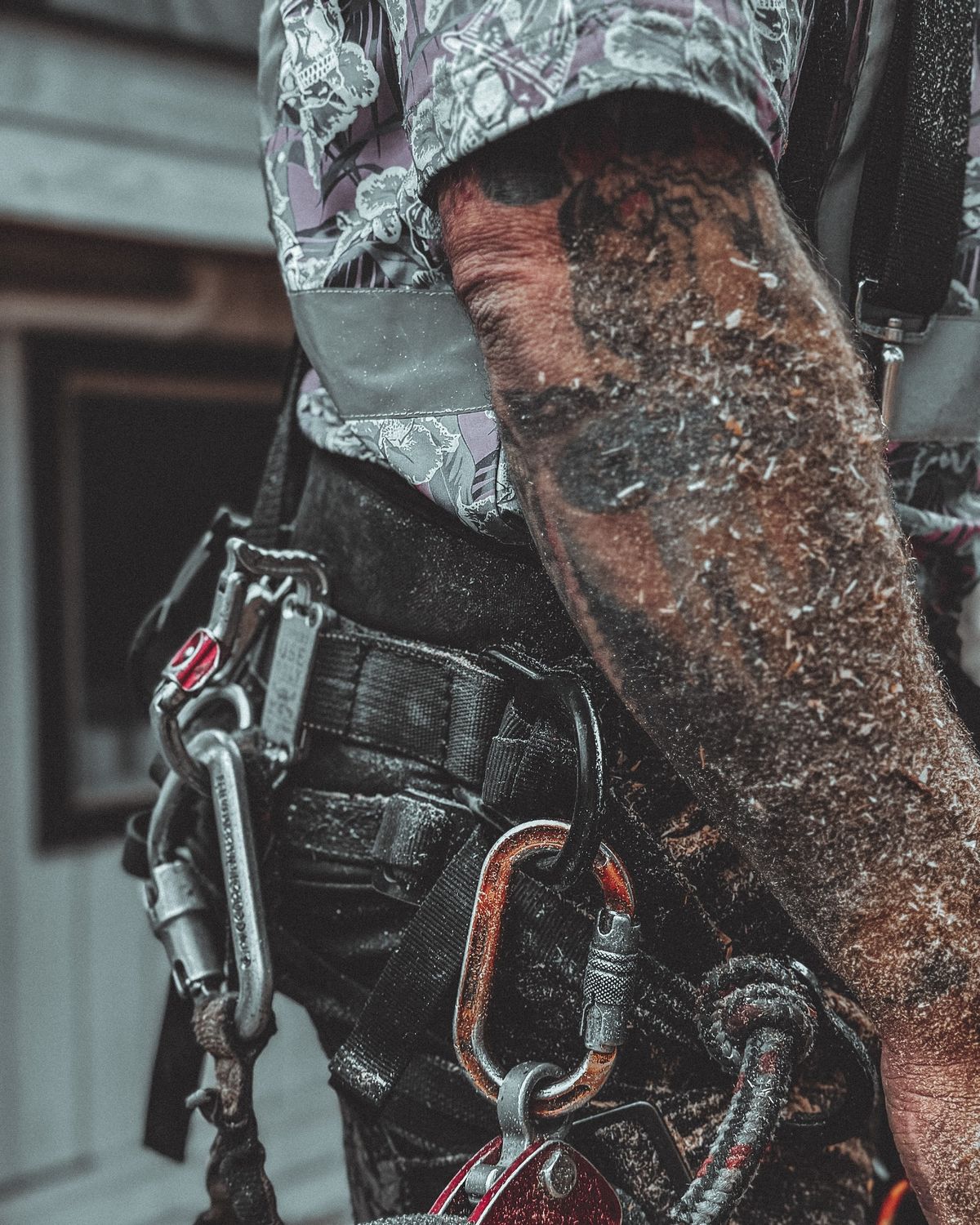 GEAR